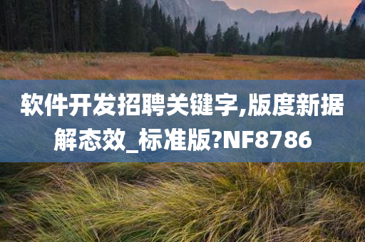 软件开发招聘关键字,版度新据解态效_标准版?NF8786