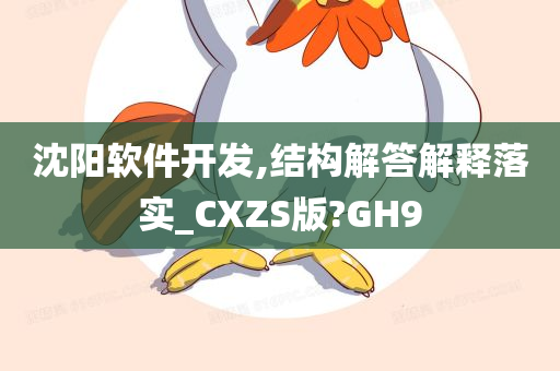 沈阳软件开发,结构解答解释落实_CXZS版?GH9