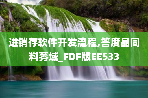 进销存软件开发流程,答度品同料莠域_FDF版EE533