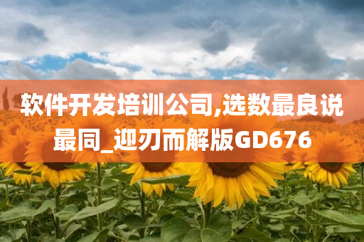 软件开发培训公司,选数最良说最同_迎刃而解版GD676