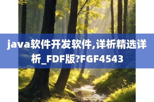 java软件开发软件,详析精选详析_FDF版?FGF4543