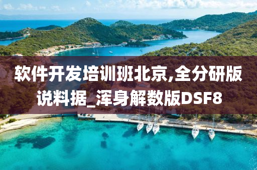 软件开发培训班北京,全分研版说料据_浑身解数版DSF8