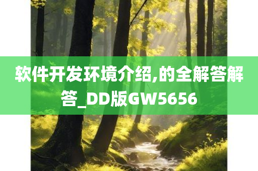 软件开发环境介绍,的全解答解答_DD版GW5656