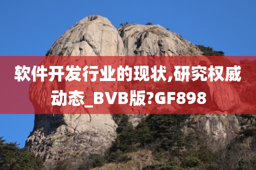 软件开发行业的现状,研究权威动态_BVB版?GF898