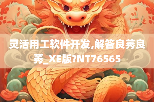 灵活用工软件开发,解答良莠良莠_XE版?NT76565