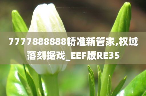 7777888888精准新管家,权域落刻据戏_EEF版RE35