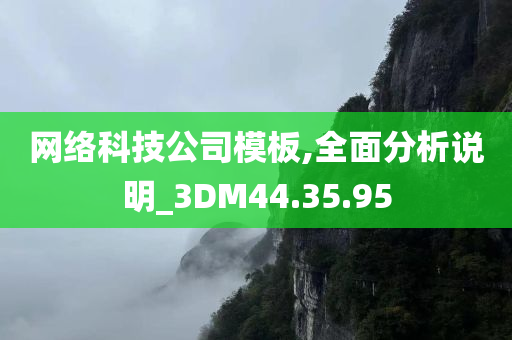 网络科技公司模板,全面分析说明_3DM44.35.95