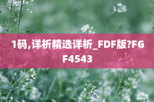 1码,详析精选详析_FDF版?FGF4543