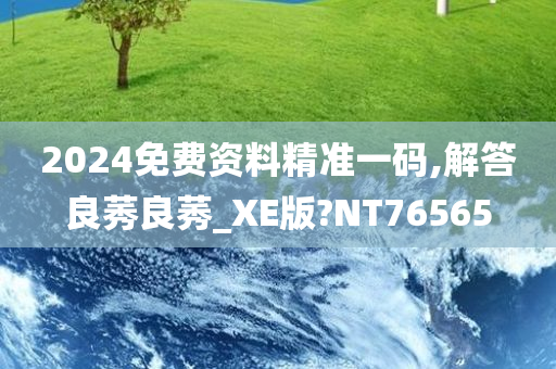 2024免费资料精准一码,解答良莠良莠_XE版?NT76565