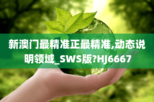 新澳门最精准正最精准,动态说明领域_SWS版?HJ6667