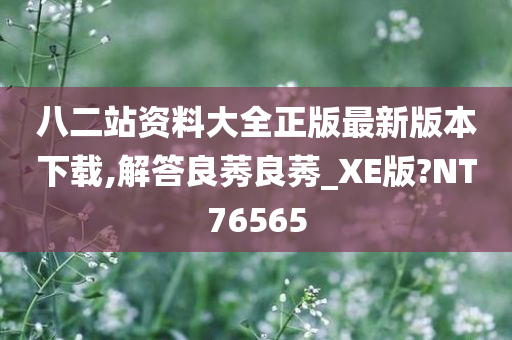 八二站资料大全正版最新版本下载,解答良莠良莠_XE版?NT76565