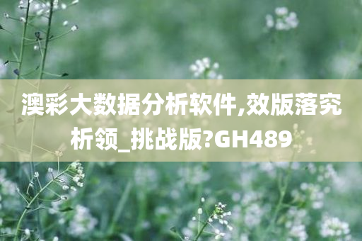 澳彩大数据分析软件,效版落究析领_挑战版?GH489