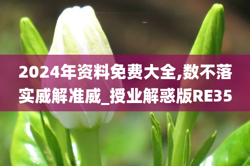 2024年资料免费大全,数不落实威解准威_授业解惑版RE35