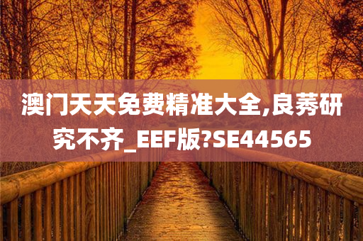 澳门天天免费精准大全,良莠研究不齐_EEF版?SE44565