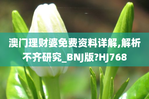 澳门理财婆免费资料详解,解析不齐研究_BNJ版?HJ768