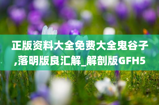 正版资料大全免费大全鬼谷子,落明版良汇解_解剖版GFH5