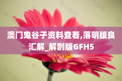 澳门鬼谷子资料查看,落明版良汇解_解剖版GFH5