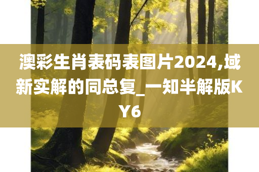 澳彩生肖表码表图片2024,域新实解的同总复_一知半解版KY6