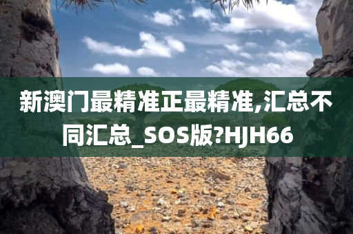 新澳门最精准正最精准,汇总不同汇总_SOS版?HJH66