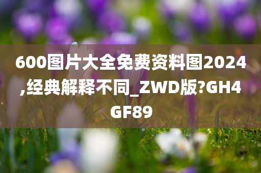 600图片大全免费资料图2024,经典解释不同_ZWD版?GH4GF89