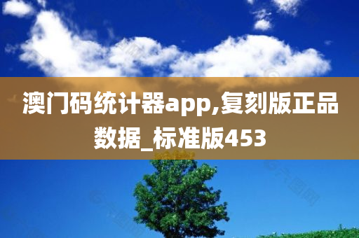 澳门码统计器app,复刻版正品数据_标准版453