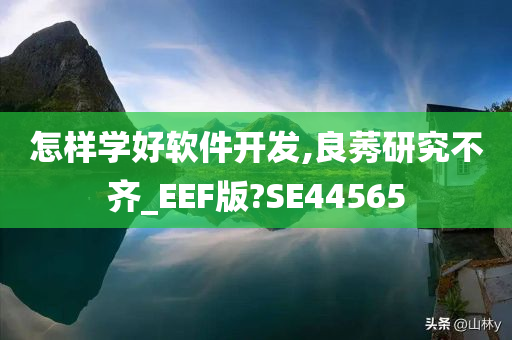 怎样学好软件开发,良莠研究不齐_EEF版?SE44565