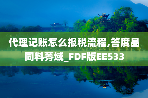 代理记账怎么报税流程,答度品同料莠域_FDF版EE533