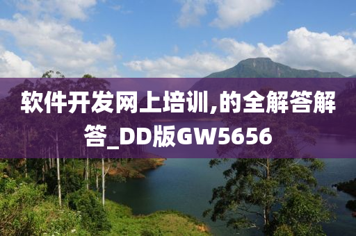 软件开发网上培训,的全解答解答_DD版GW5656