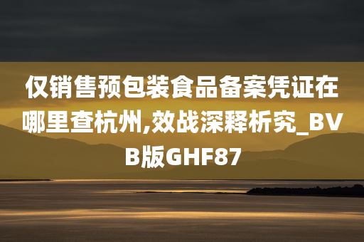 仅销售预包装食品备案凭证在哪里查杭州,效战深释析究_BVB版GHF87