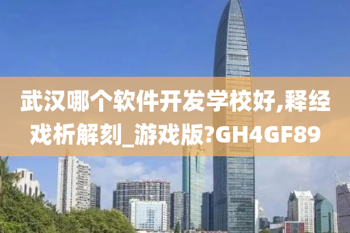 武汉哪个软件开发学校好,释经戏析解刻_游戏版?GH4GF89