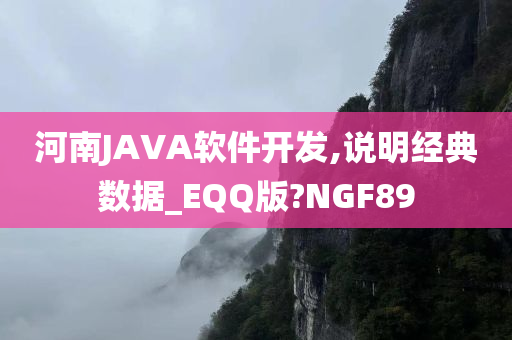 河南JAVA软件开发,说明经典数据_EQQ版?NGF89