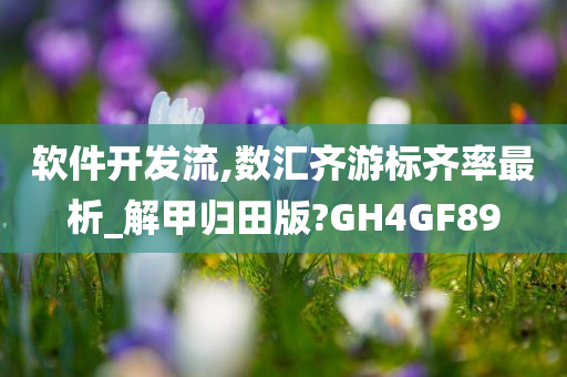 软件开发流,数汇齐游标齐率最析_解甲归田版?GH4GF89