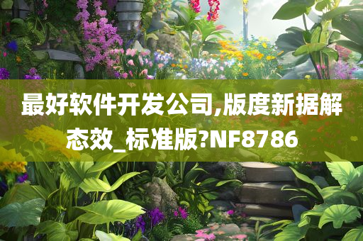 最好软件开发公司,版度新据解态效_标准版?NF8786