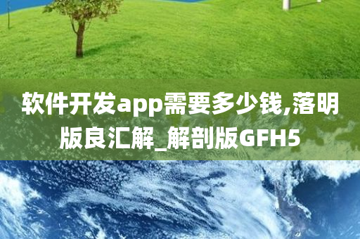 软件开发app需要多少钱,落明版良汇解_解剖版GFH5