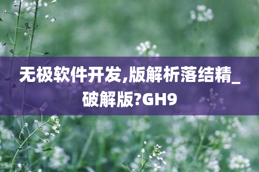 无极软件开发,版解析落结精_破解版?GH9