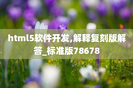 html5软件开发,解释复刻版解答_标准版78678