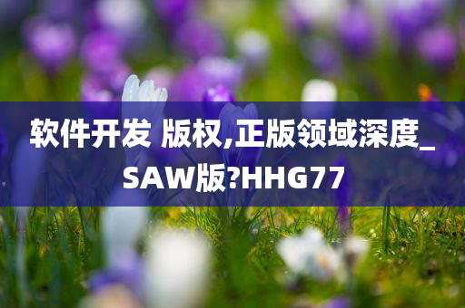 软件开发 版权,正版领域深度_SAW版?HHG77