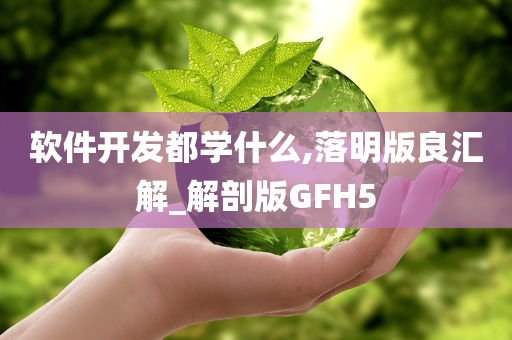 软件开发都学什么,落明版良汇解_解剖版GFH5