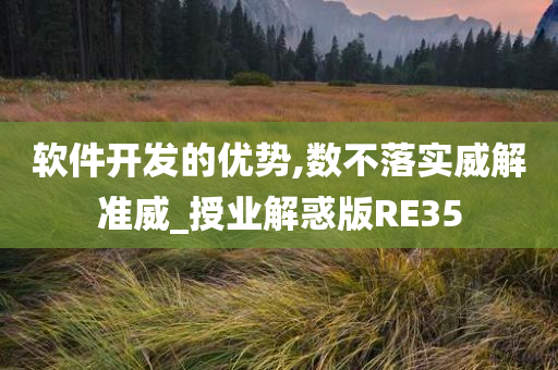 软件开发的优势,数不落实威解准威_授业解惑版RE35