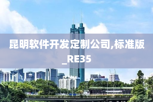 昆明软件开发定制公司,标准版_RE35