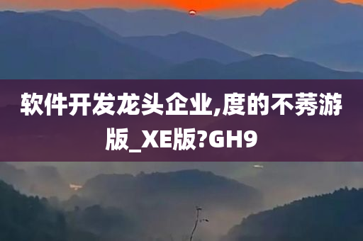 软件开发龙头企业,度的不莠游版_XE版?GH9