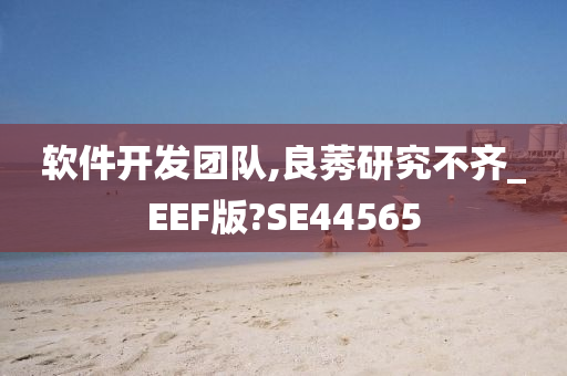 软件开发团队,良莠研究不齐_EEF版?SE44565