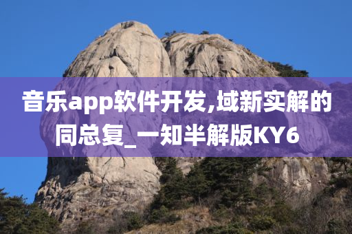 音乐app软件开发,域新实解的同总复_一知半解版KY6