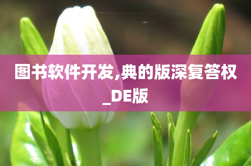 图书软件开发,典的版深复答权_DE版