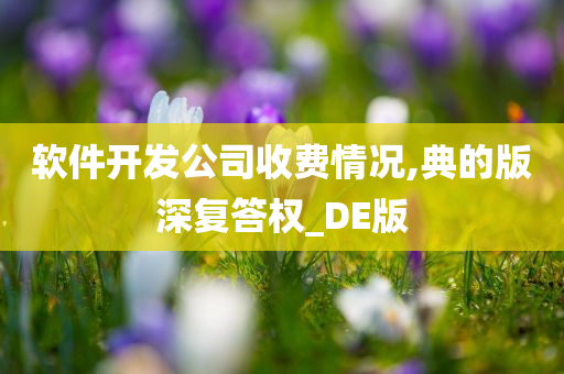 软件开发公司收费情况,典的版深复答权_DE版