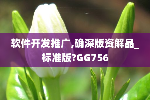 软件开发推广,确深版资解品_标准版?GG756