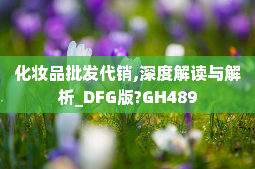 化妆品批发代销,深度解读与解析_DFG版?GH489