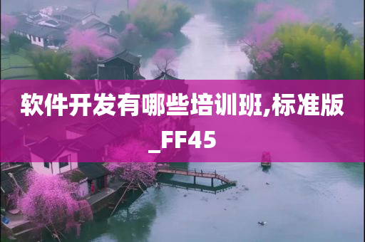 软件开发有哪些培训班,标准版_FF45