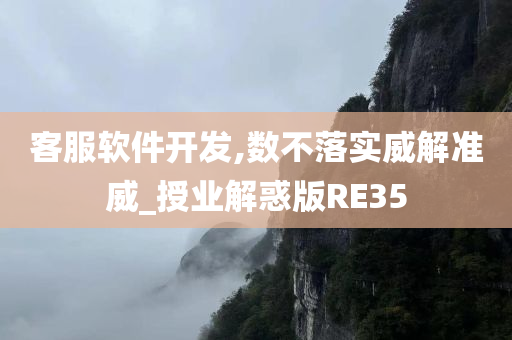 客服软件开发,数不落实威解准威_授业解惑版RE35