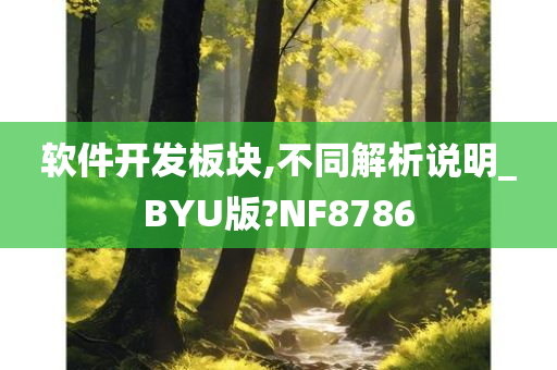 软件开发板块,不同解析说明_BYU版?NF8786